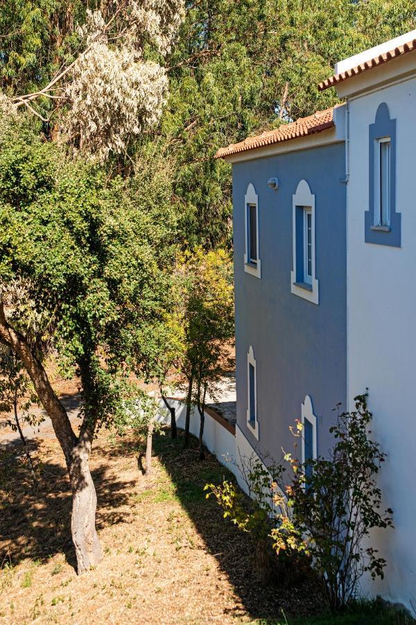 Cerca Velha Alentejo House Villa Cercal do Alentejo Buitenkant foto